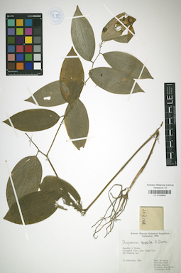 LE 01026887