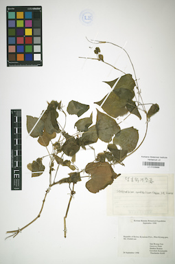 LE 01026888