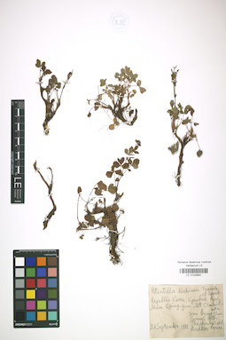 LE 01026891