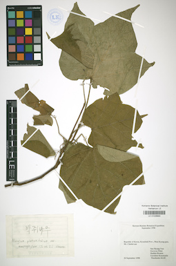 LE 01026893