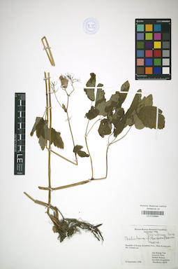 LE 01026894