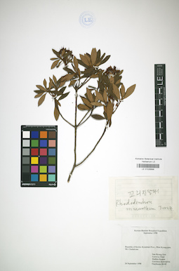 LE 01026898