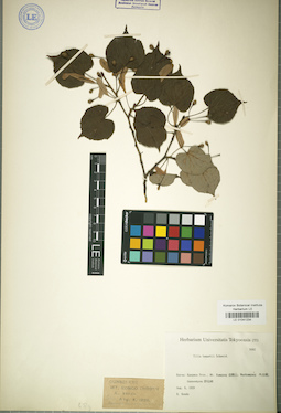 LE 01041234