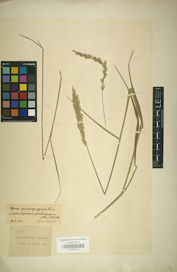 LE 01041241