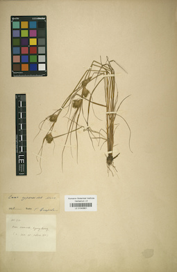 LE 01042601