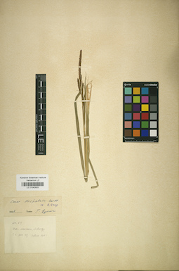 LE 01042603