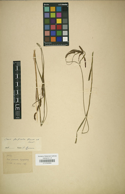 LE 01042604