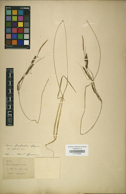 LE 01042605