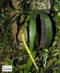 LE 01087365