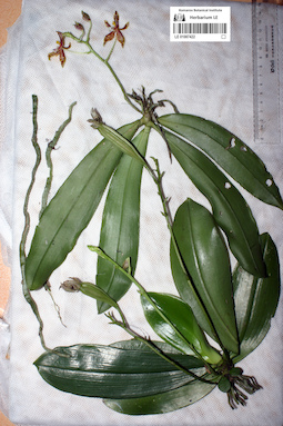 LE 01087422