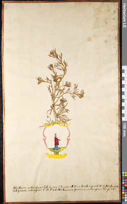 LE 01091024