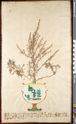 LE 01091027