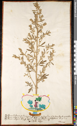 LE 01091034