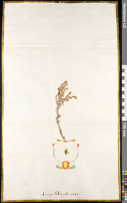 LE 01091039