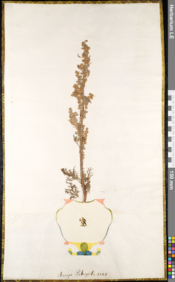 LE 01091040