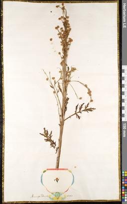 LE 01091041