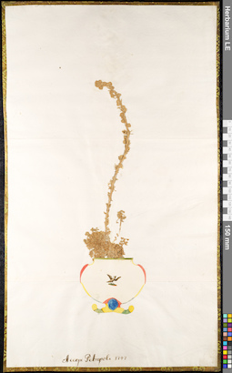 LE 01091042