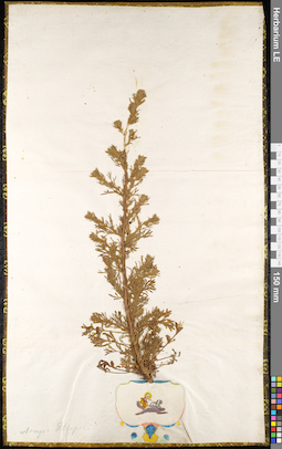 LE 01091044