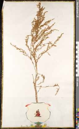 LE 01091045