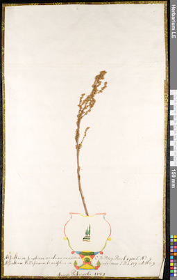 LE 01091046