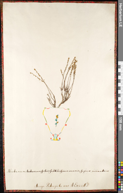 LE 01091047
