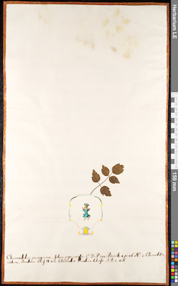 LE 01091052