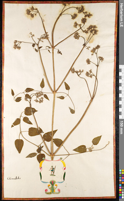 LE 01091058