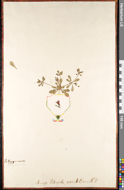 LE 01091061