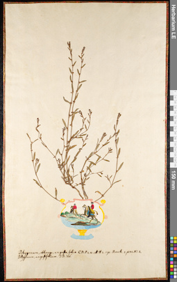 LE 01091062