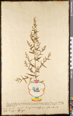 LE 01091075