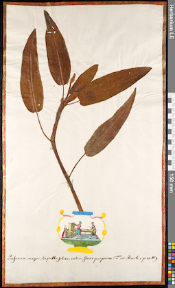 LE 01091092