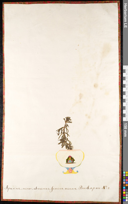 LE 01091247