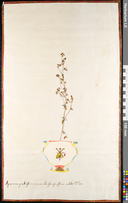 LE 01091249