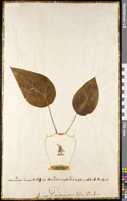 LE 01091257