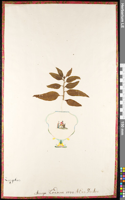 LE 01091258