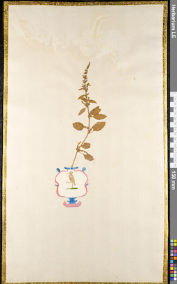 LE 01091265