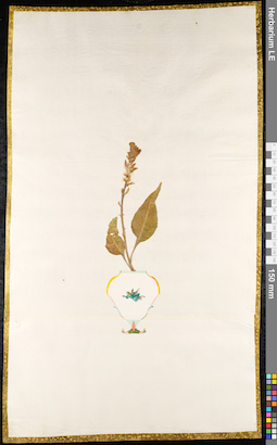 LE 01091269