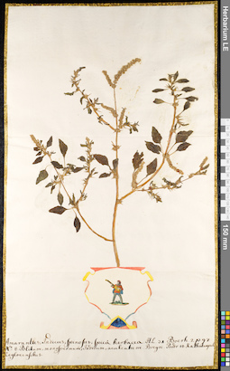 LE 01091271