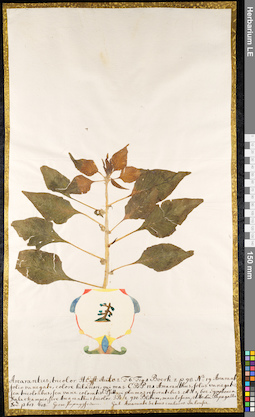 LE 01091272