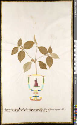 LE 01091274