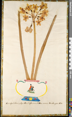 LE 01091288