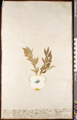 LE 01091294