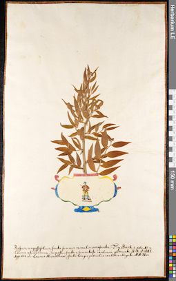LE 01091296