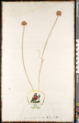 LE 01091315
