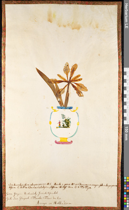 LE 01091319