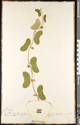 LE 01091326