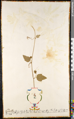 LE 01091329