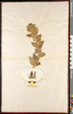 LE 01091349