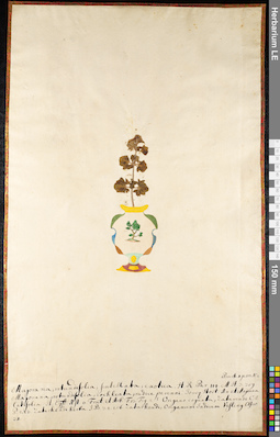 LE 01091353