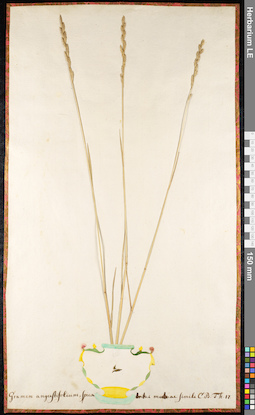 LE 01091355